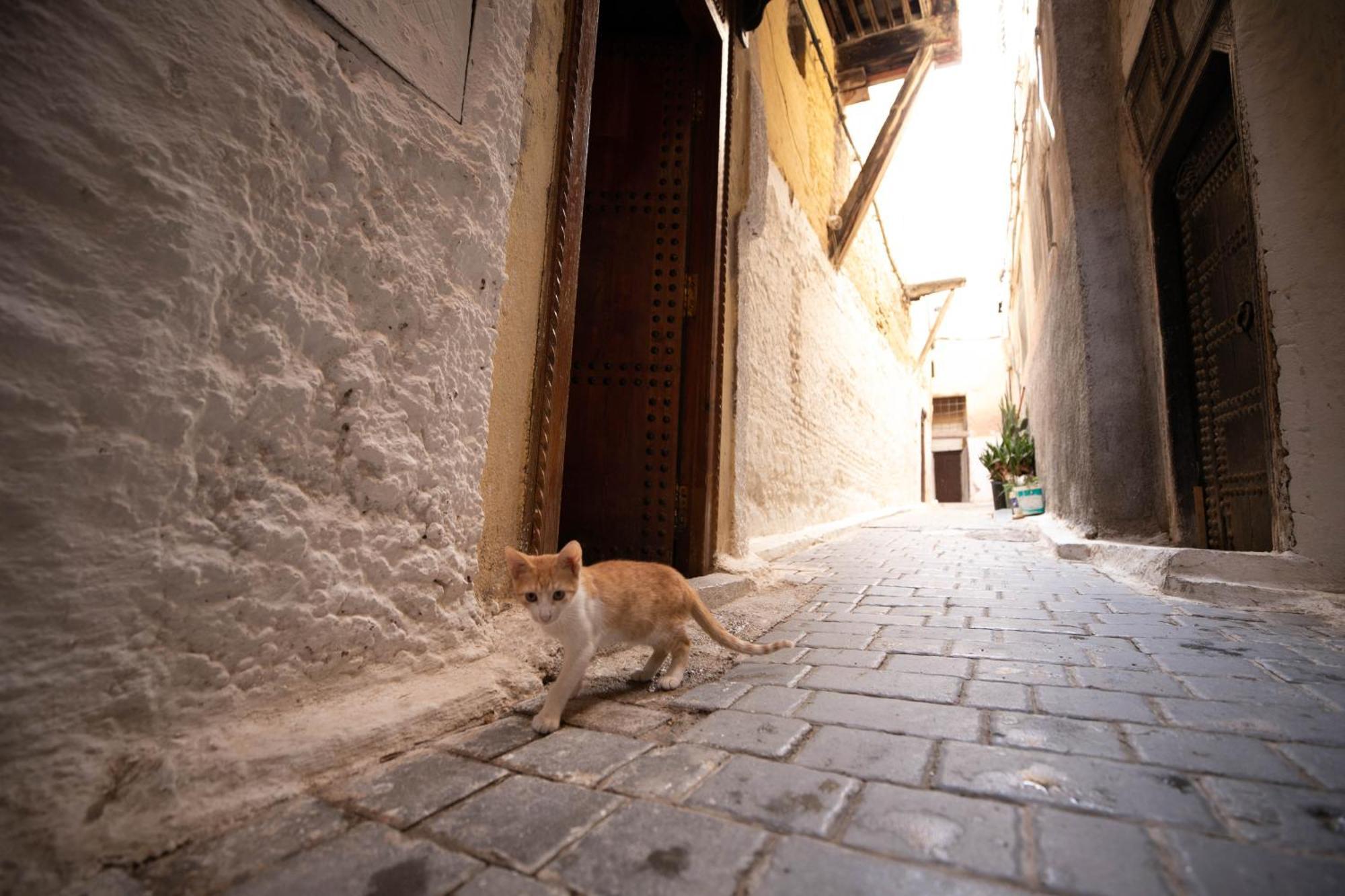 Riad Dar Omar Fes Ngoại thất bức ảnh